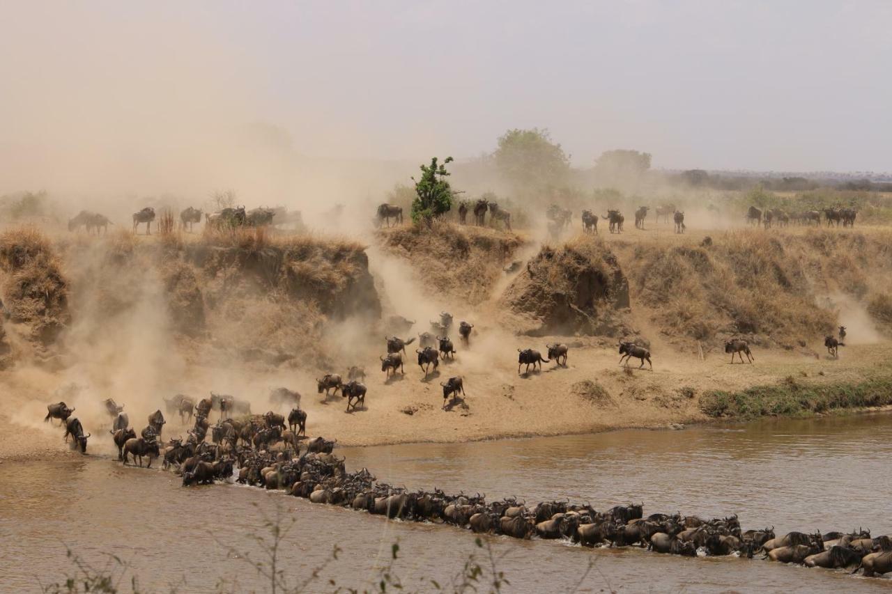 Gnu Mara River Camp سيرينغيتي المظهر الخارجي الصورة